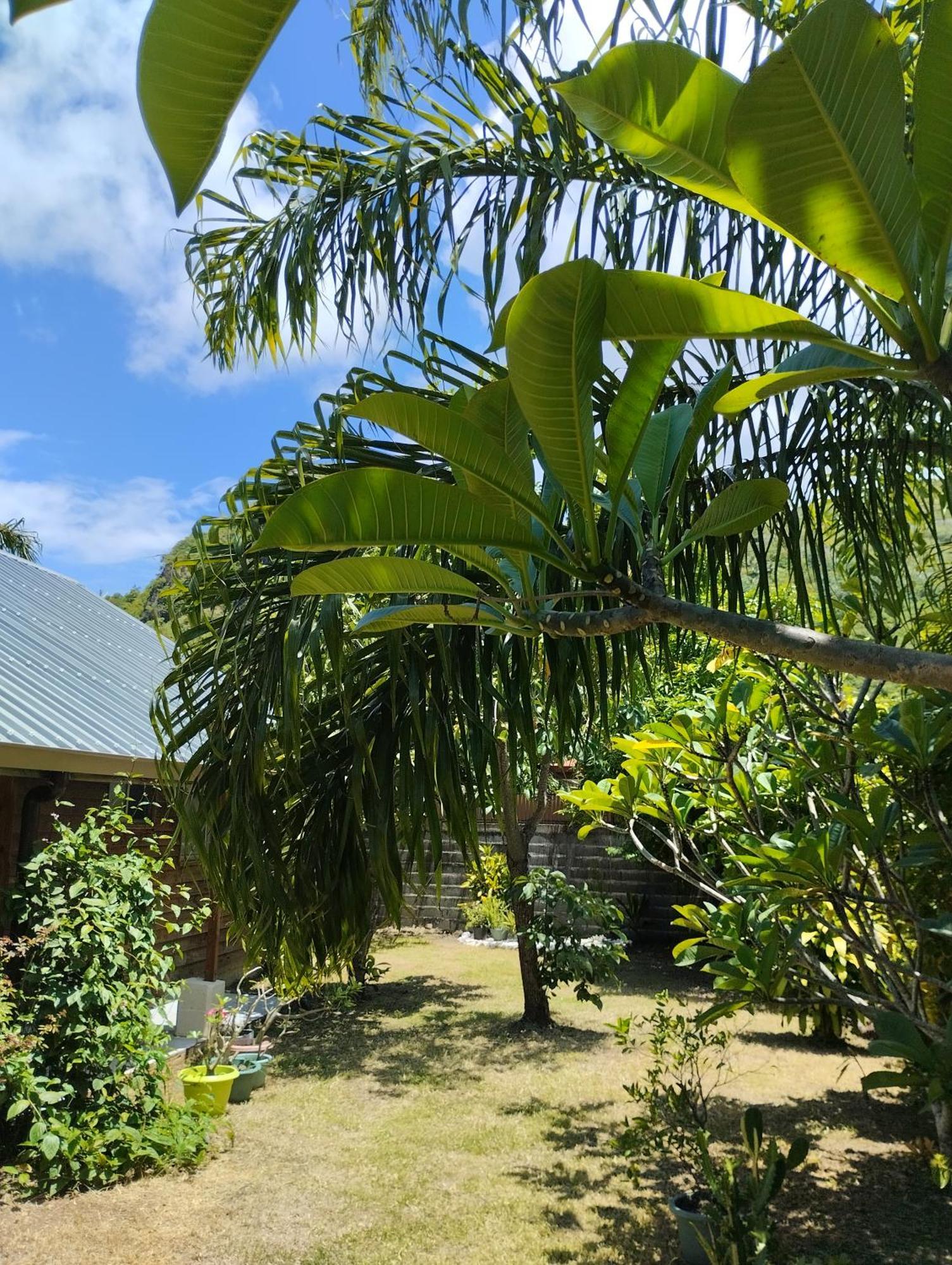 Tema'E Beach House Temae Exterior foto
